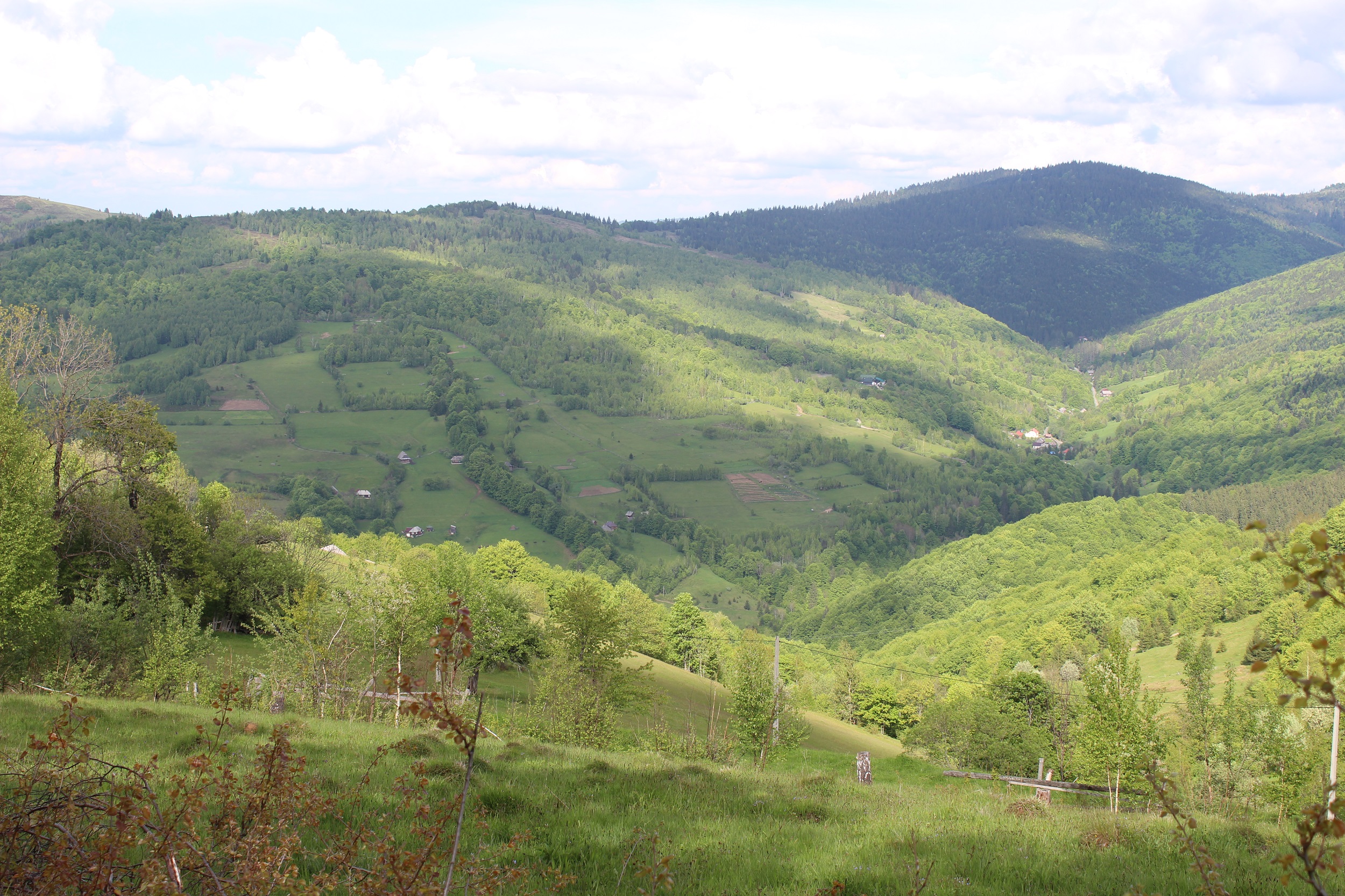 Apuseni Mountains: Romania, May 2019 – The Irish Naturalist